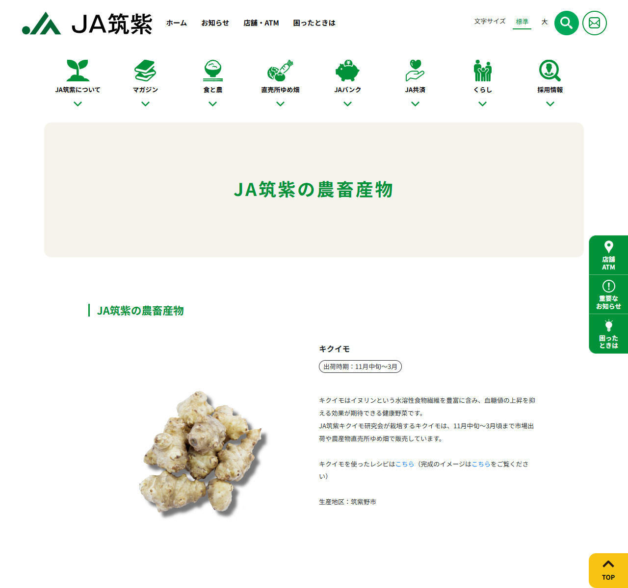 JA筑紫の農畜産物ページの公式キャプチャ。キクイモの出荷時期が11月中旬〜3月と表示され、市場出荷と直売所ゆめ畑で販売すると書かれている