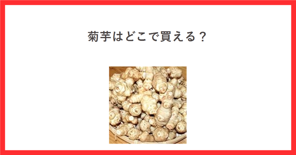 菊芋はどこで買える？と書いたアイキャッチ。生の菊芋の商品写真を載せている