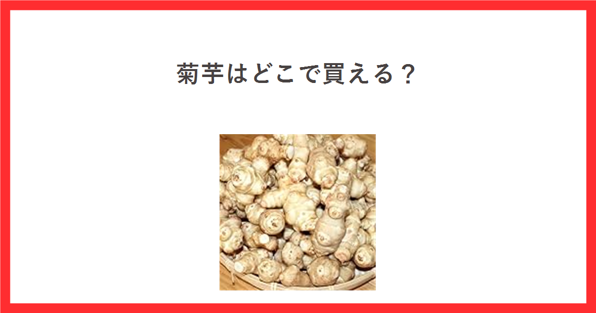 菊芋はどこで買える？と書いたアイキャッチ。生の菊芋の商品写真を載せている