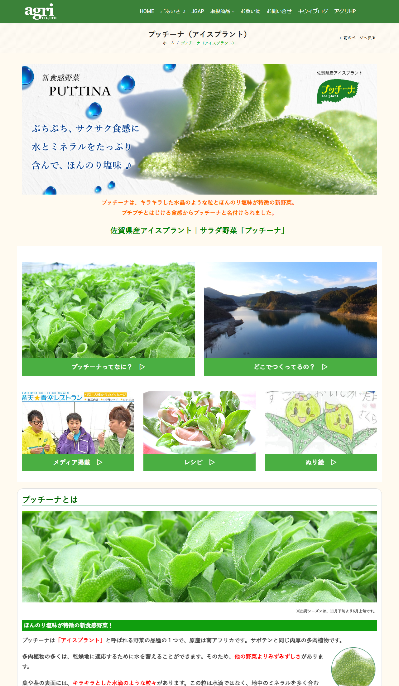 株式会社アグリ公式サイトのプッチーナ紹介ページで、写真の下に「出荷シーズンは、11月下旬より6月上旬です」と記載されている画面キャプチャ