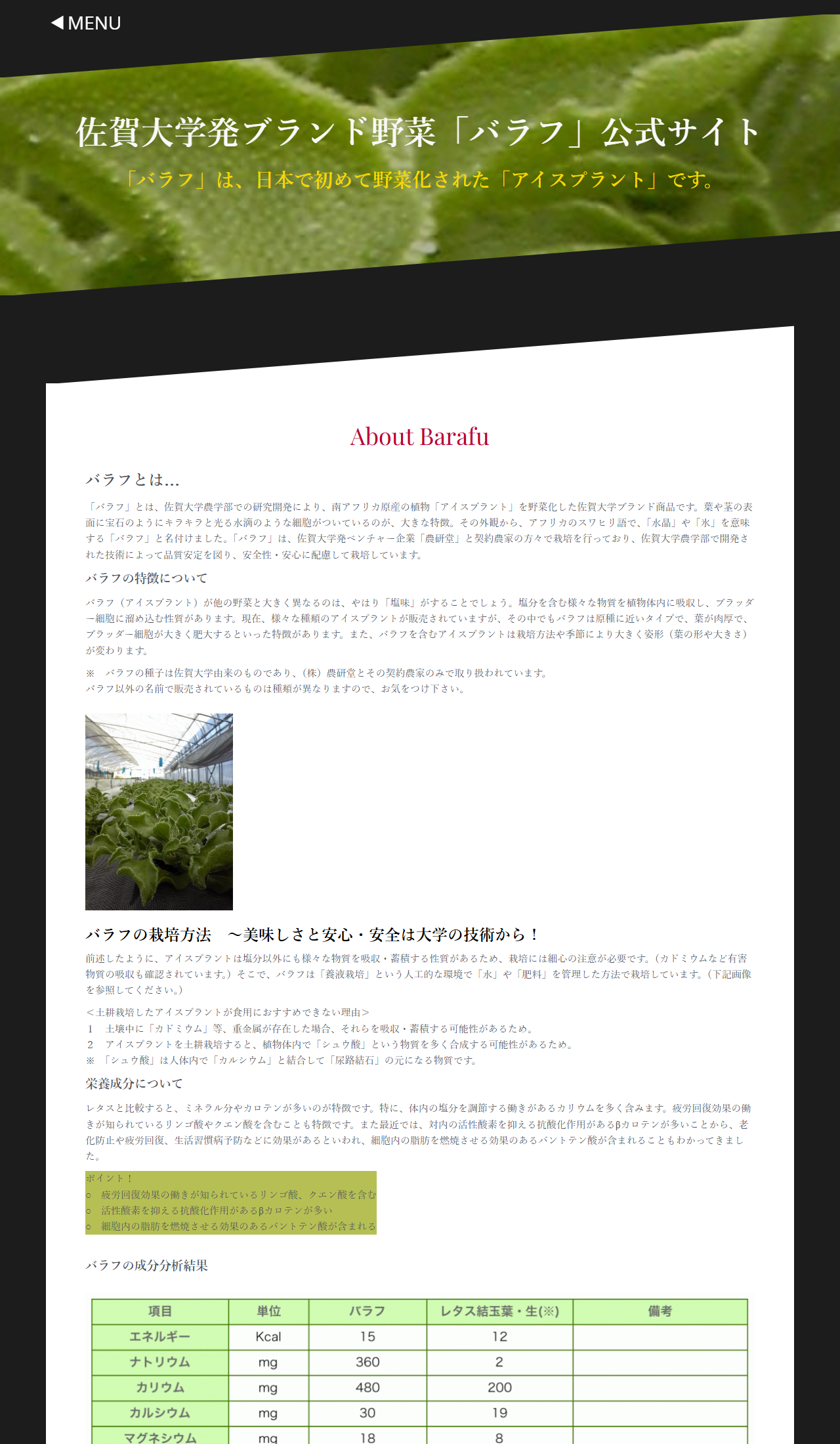 佐賀大学発ブランド野菜バラフ公式サイトのAbout Barafuページで、種子の取り扱いと土耕栽培を勧めない理由、レタスとの成分比較表が表示されている画面キャプチャ