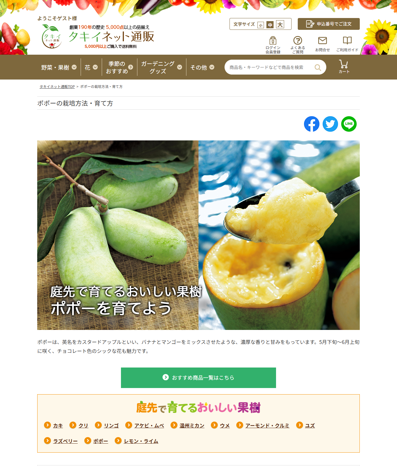 タキイネット通販のポポーの栽培方法・育て方のページの公式キャプチャ画面。左に枝ごと置かれた緑色で細長い3個のポポーの果実、右に半分に切った果実からクリーム色の果肉をスプーンですくい上げた写真が並び、下にポポーは英名をカスタードアップルといいバナナとマンゴーをミックスさせたような濃厚な香りと甘みをもっていると書かれている